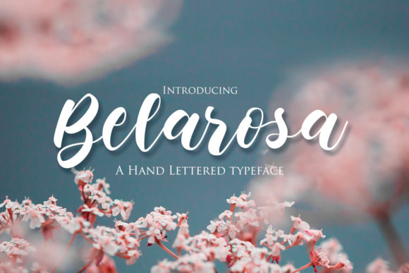 Belarosa: A Chic Script Font for Polished Brand Identity