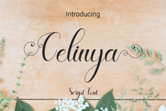 Celinya Typeface: Elevating Campaign Visuals with Handwritten Elegance