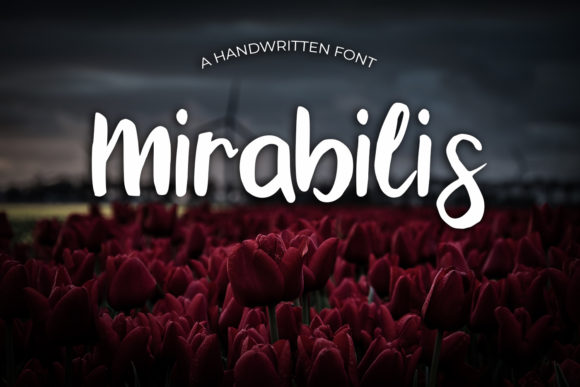 Mirabilis: The Handwritten Typeface for a Polished Brand Identity