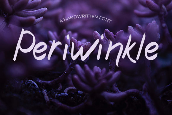 Periwinkle Typeface Review: A Natural Handwritten Font for Campaign Design